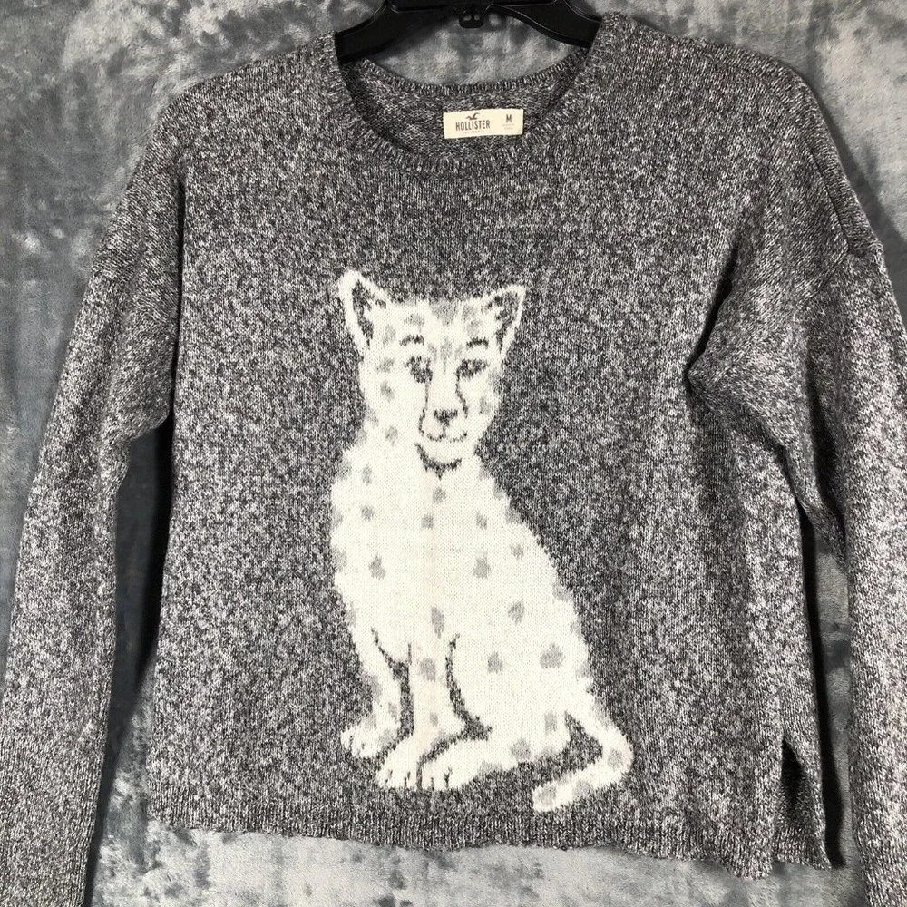 Hollister Woman’s Sweater Baby Leopard Grey Long Sleeve Pullover Size Medium - Picture 2 of 11